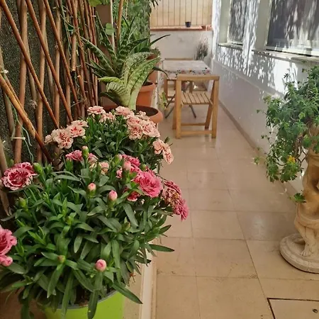 Guest house Domus Mateola *